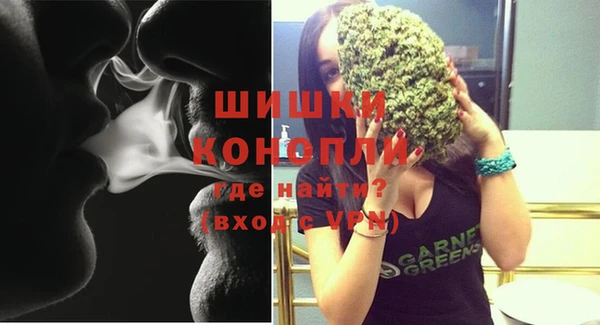 гашик Михайловка