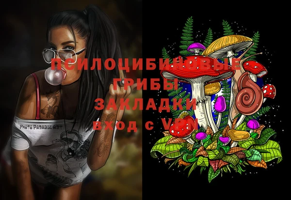 гашик Михайловка